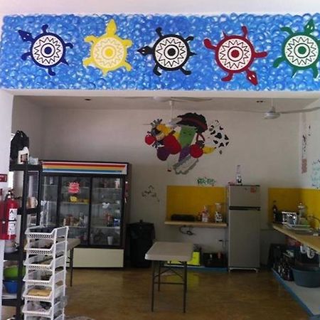 Hostal Vive La Vida Playa del Carmen Dış mekan fotoğraf