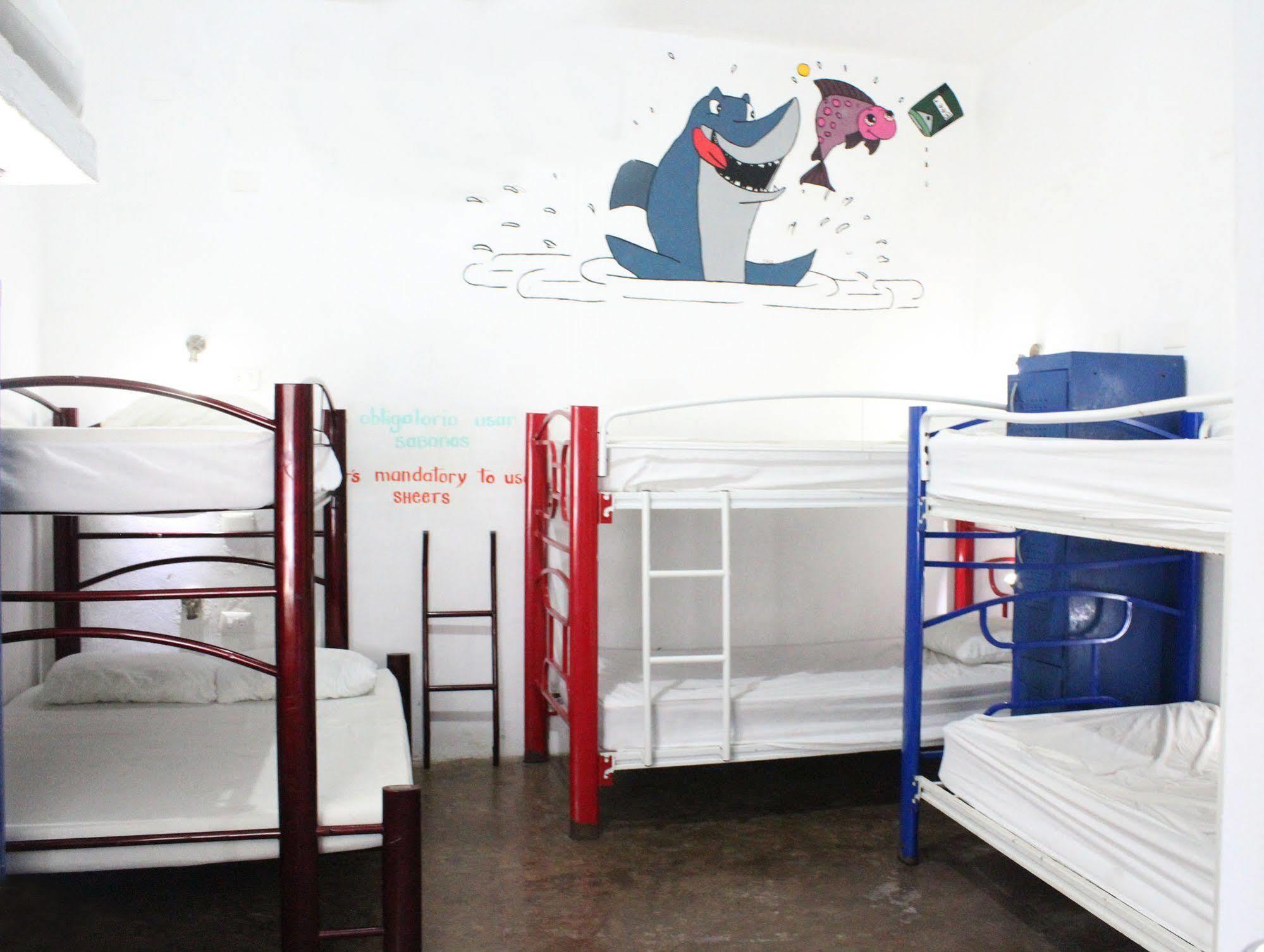 Hostal Vive La Vida Playa del Carmen Dış mekan fotoğraf