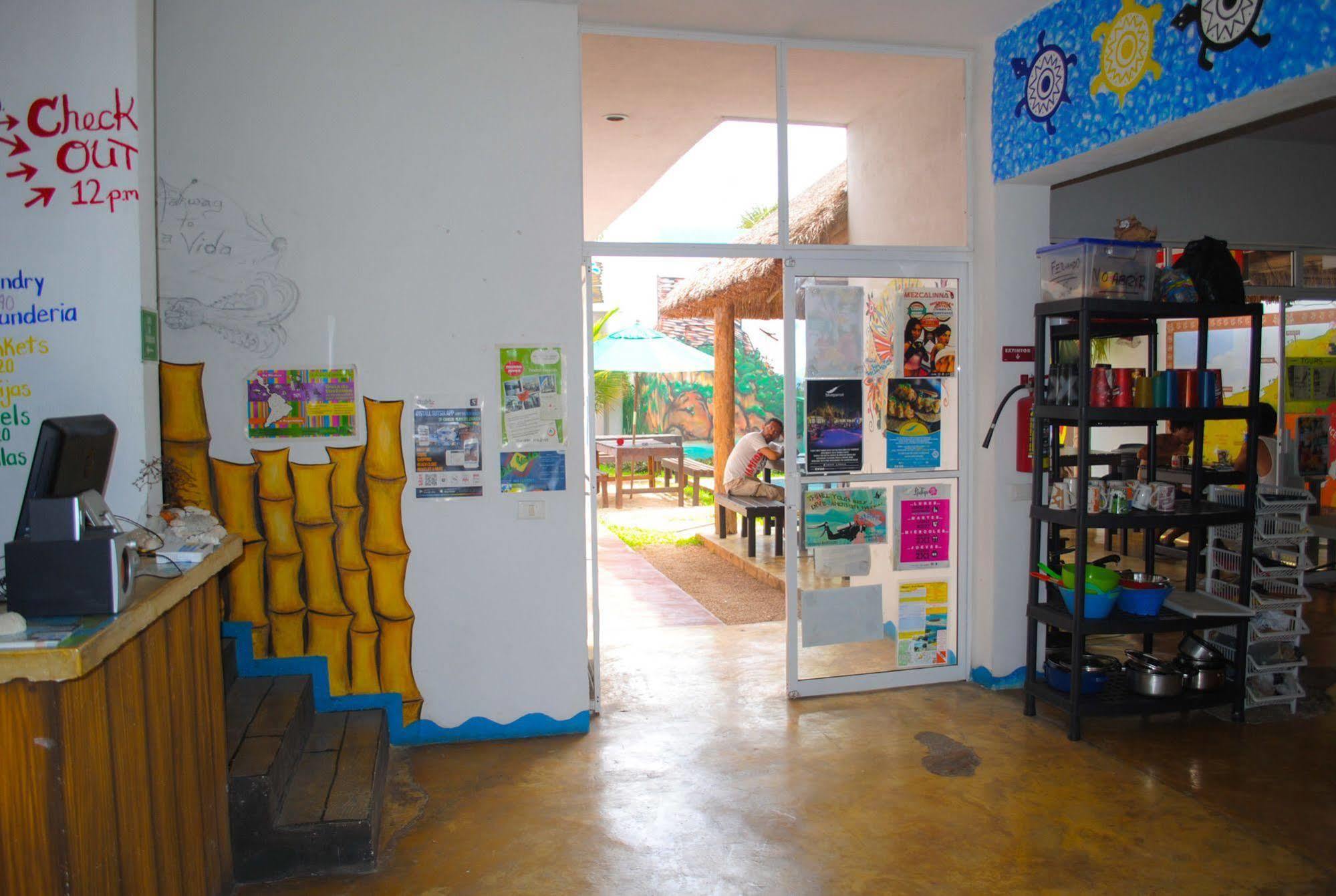 Hostal Vive La Vida Playa del Carmen Dış mekan fotoğraf