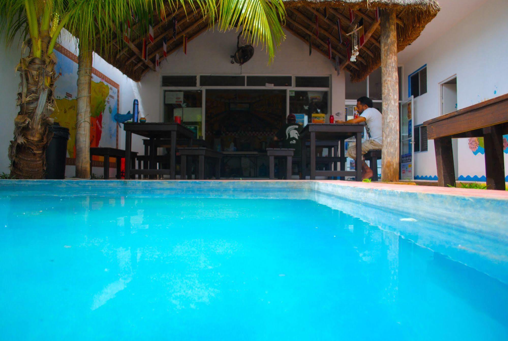 Hostal Vive La Vida Playa del Carmen Dış mekan fotoğraf