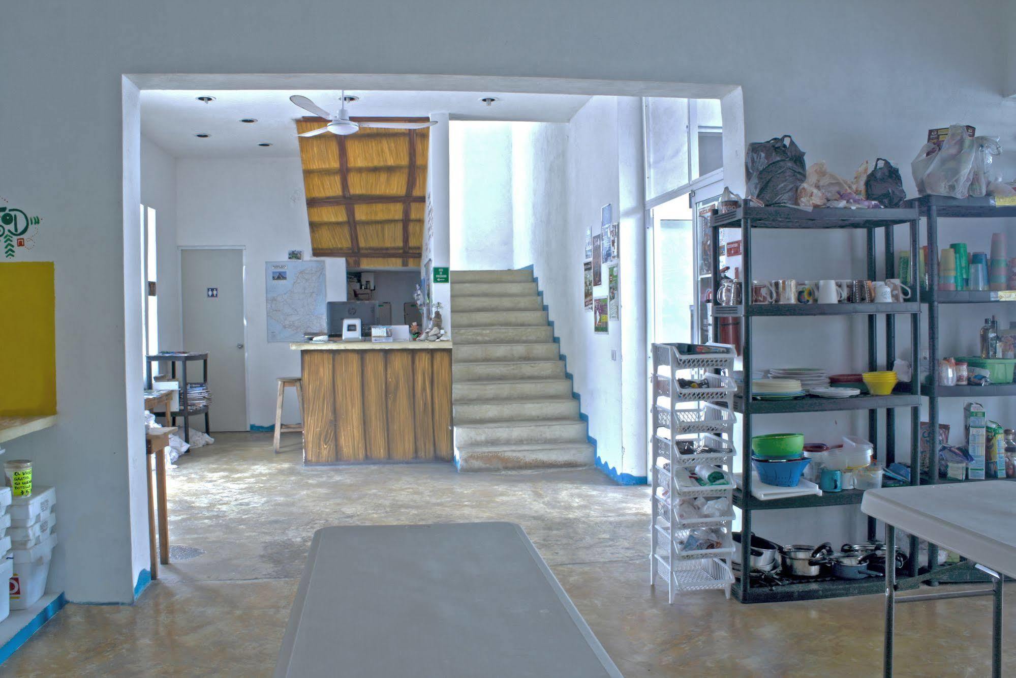 Hostal Vive La Vida Playa del Carmen Dış mekan fotoğraf