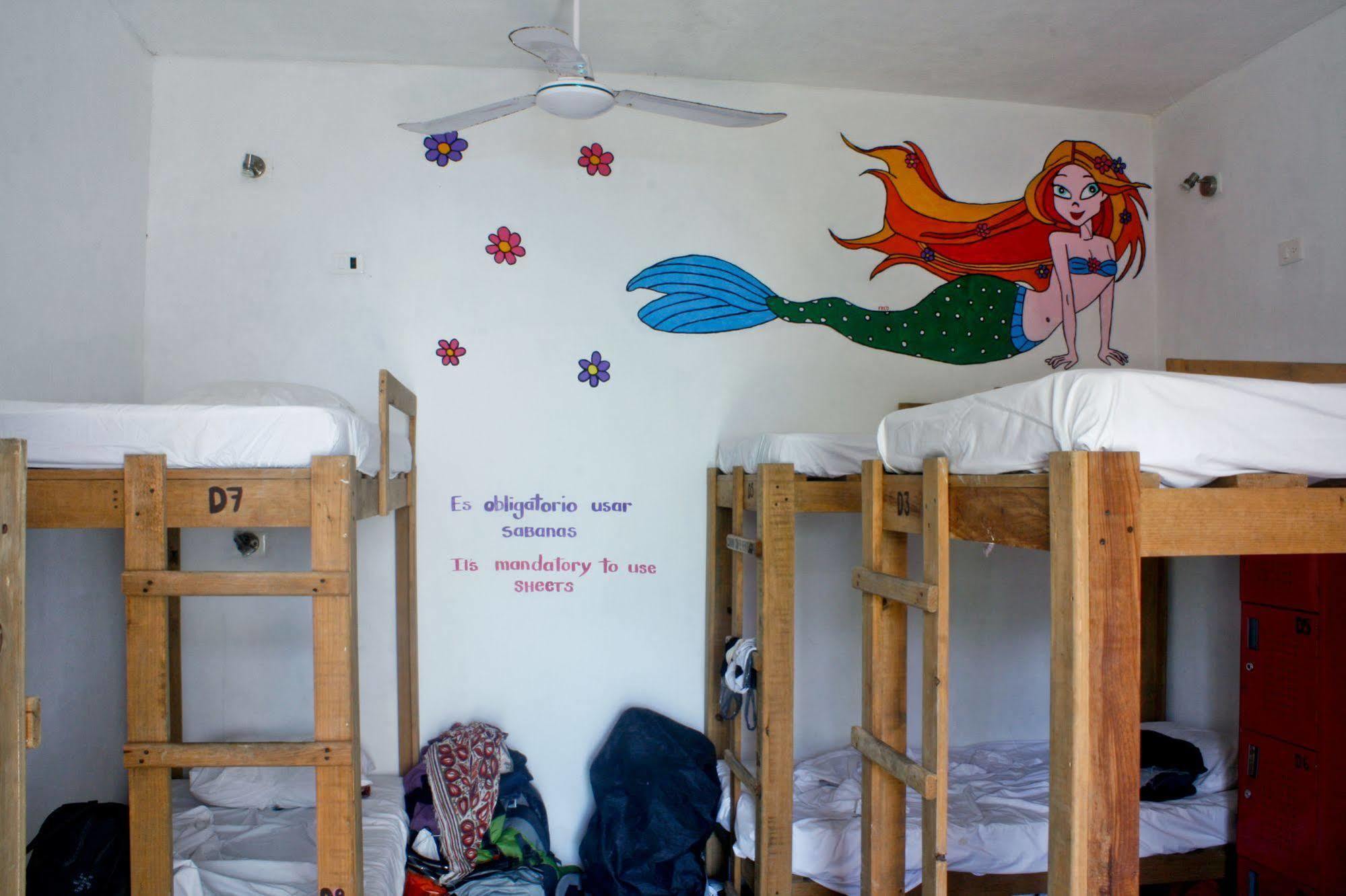 Hostal Vive La Vida Playa del Carmen Dış mekan fotoğraf