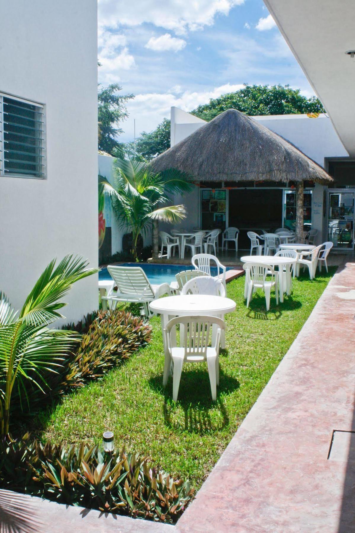 Hostal Vive La Vida Playa del Carmen Dış mekan fotoğraf