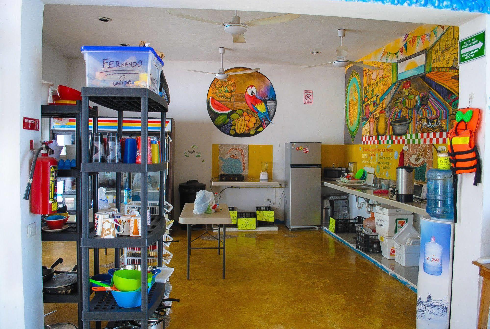 Hostal Vive La Vida Playa del Carmen Dış mekan fotoğraf