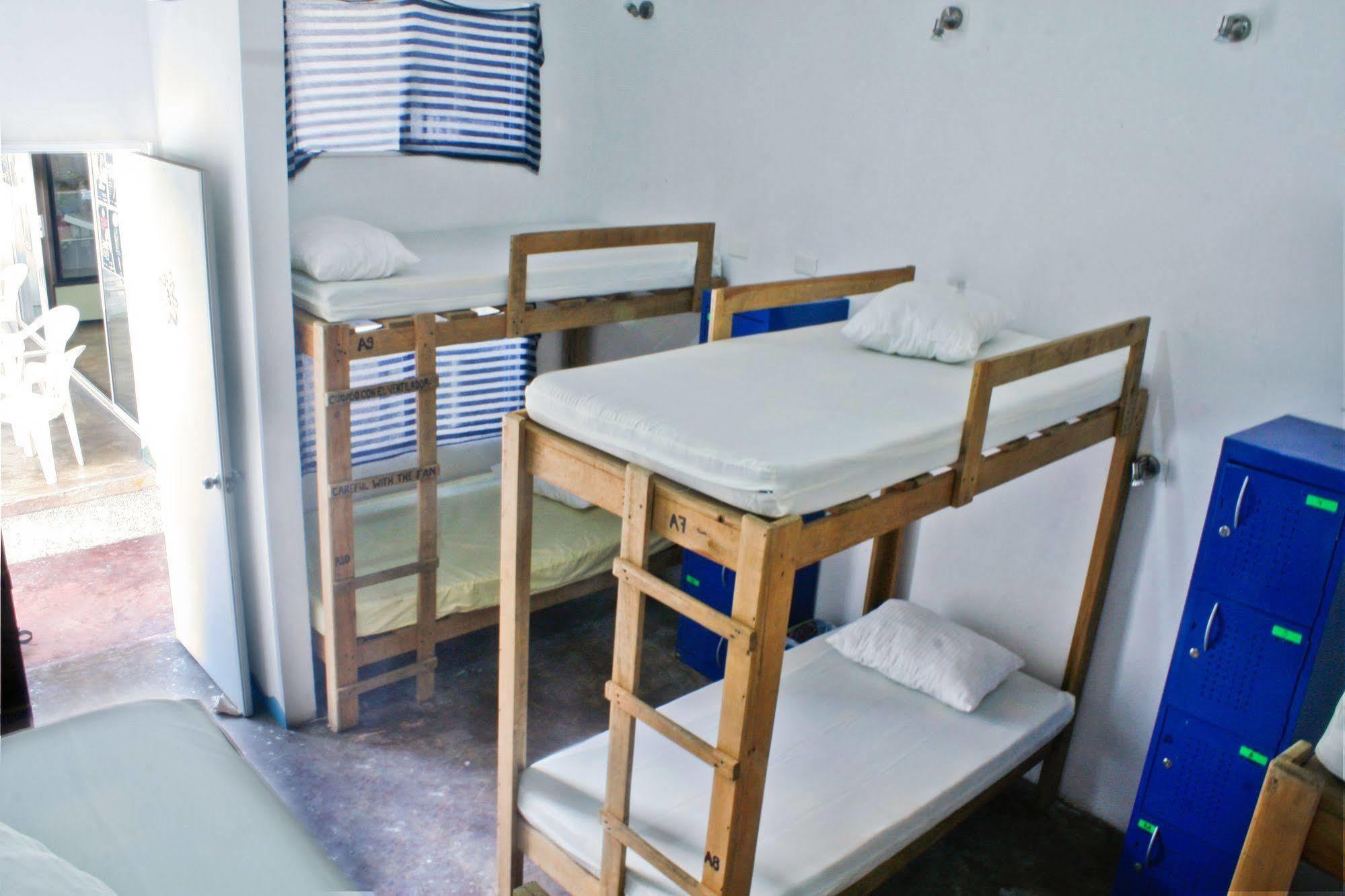 Hostal Vive La Vida Playa del Carmen Dış mekan fotoğraf